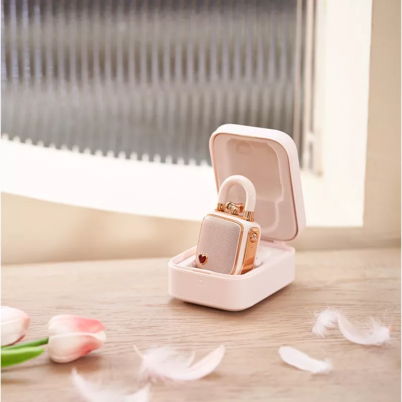 Przenośny głośnik mono Divoom LoveLock Pink