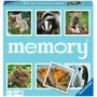 memory Tierkinder, gra memory
