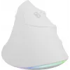 NATEC Crake 2 Pro mysz Uniwersalny dla praworęcznych USB typu A Optyczna 12800 DPI