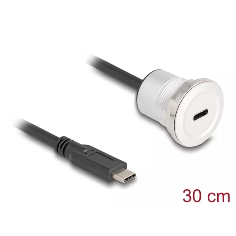 Kabel USB DeLOCK 88183 0.3m USB C czarno-srebrny