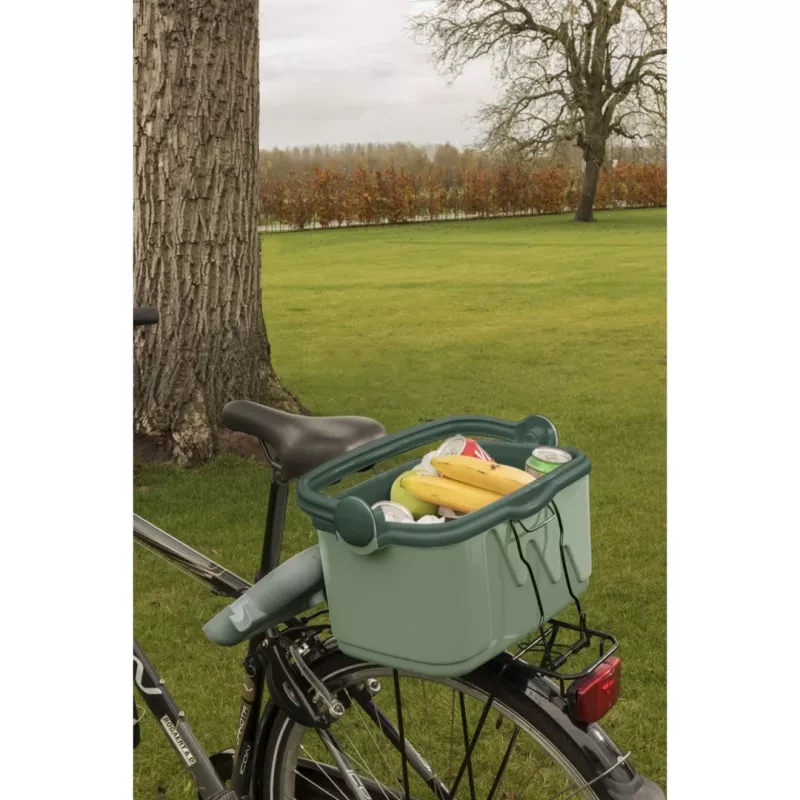 Lodówka turystyczna Curver 261196, 10 L, zielona, polipropylen, bez BPA, 1,13 kg, uchwyt