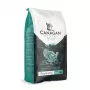 Canagan sucha karma dla kota Dental 1,5kg