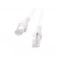 PATCHCORD Cat.6 UTP 1,5M Biały FLUKE PASSED LANBERG 10-PACK