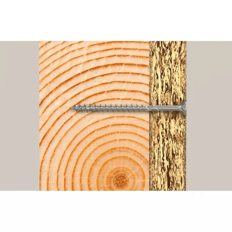 Fischer 670413