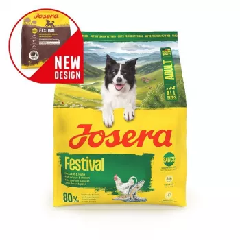 Sucha karma dla psa JOSERA Adult Festival 3 kg — kompletna dieta dla dorosłych psów z kurczakiem i ryżem