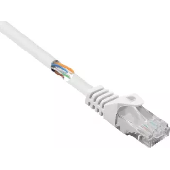 Renkforce RF-5043828 Ethernet kabel krosowy biały