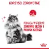 ROYAL CANIN Hair&Skin Care Adult - sucha karma dla kota - 400g