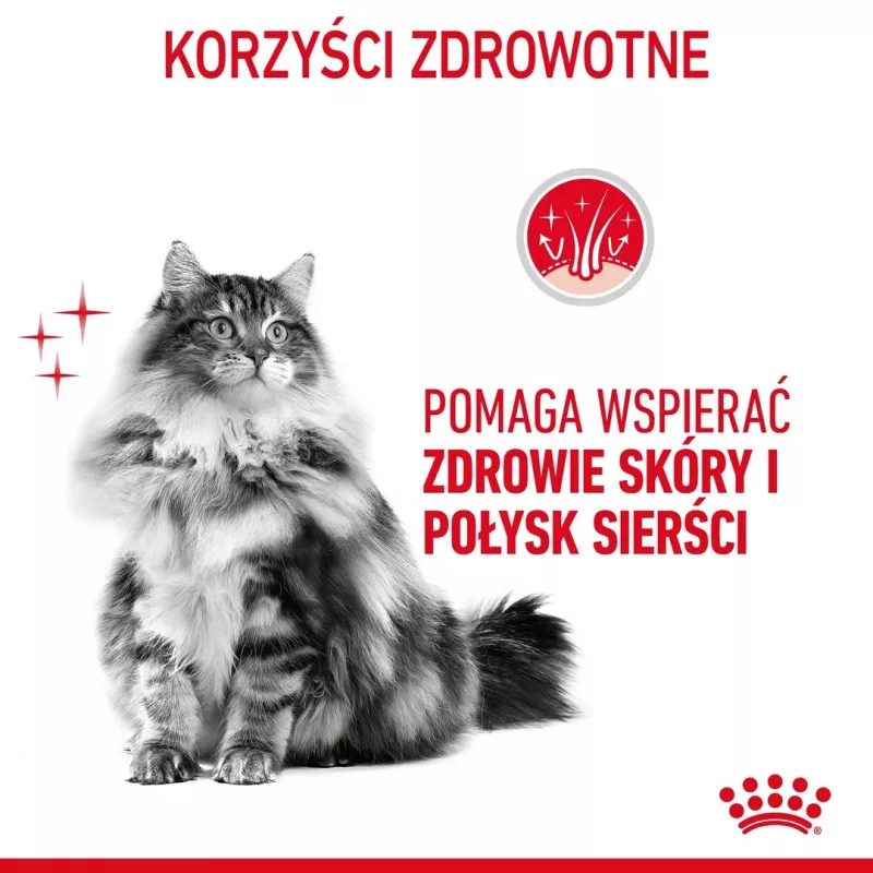 ROYAL CANIN Hair&Skin Care Adult - sucha karma dla kota - 400g