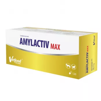 Suplement diety Vetfood Amylactiv MAX — tabletki wspomagające trawienie dla psów i kotów, 120 kapsułek, 100 g, bez soi i glutenu