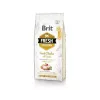 Brit Fresh Adult sucha karma dla dorosłych psów 12 kg, kurczak, jabłko, gryka, ziemniak