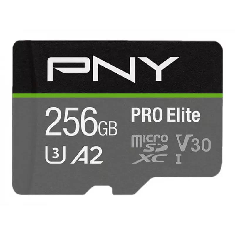 MicroSDXC 256 GB P-SDU256V32100PRO-GE