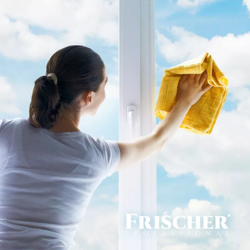Płyn do mycia szyb FRISCHER FR00233_500 0.5 l z funkcją przeciw parowaniu