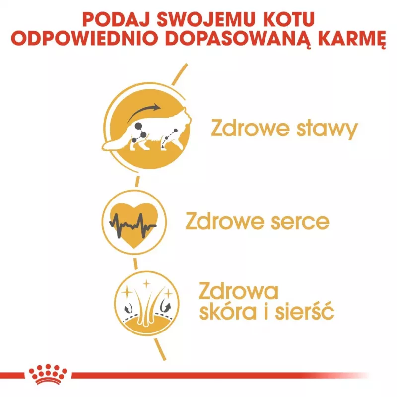 Sucha karma dla kota Royal Canin Maine Coon Adult 10 kg — drób (kurczak), 31% białka, 20% tłuszczu