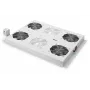 Digitus DN-19 FAN-4-SRV produkt szary
