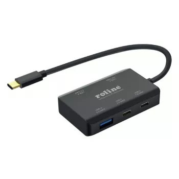 ROLINE USB 3.2 Gen 2 Hub, 4-way (2x USB-A + 2x USB-C), PD, Type C Connection kabel (14.02.5060)