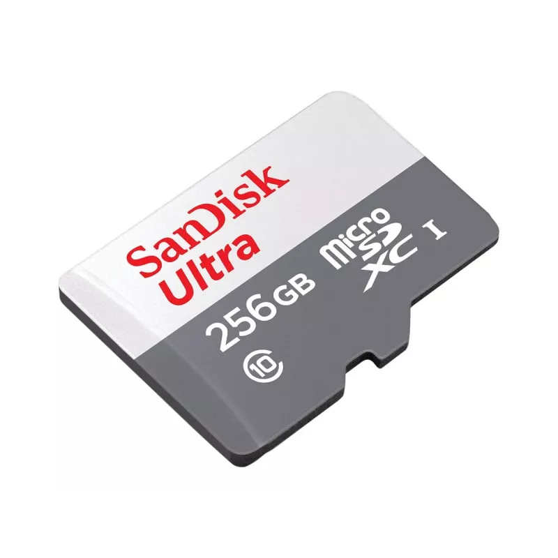 Pamięć flash SanDisk 256 GB MicroSDXC UHS-I SDSQUNR-256G-GN6TA