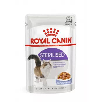 ROYAL CANIN FHN Sterilised w sosie - mokra karma dla kota - 12x85g