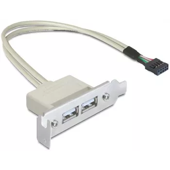 Slotblech USB 2.0 DeLOCK 0.5m