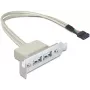 Slotblech USB 2.0 DeLOCK 0.5m