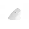 Mysz NATEC Crake 2, uniwersalna, praworęczna, bezprzewodowa RF + Bluetooth, optyczna 2400 DPI