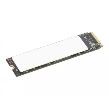 Lenovo 4XB1M86955 wewnętrzny dysk SSD 1 TB M.2 PCI Express 4.0 NVMe