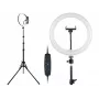 TRACER RING 30cm pierścień świetlny ze statywem 210cm
