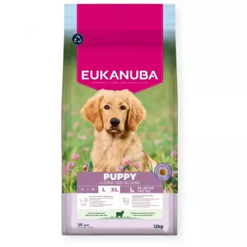 EUKANUBA Puppy L XL z jagnięciną i ryżem - sucha karma dla psów - 12 kg
