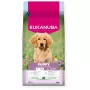 EUKANUBA Puppy L XL z jagnięciną i ryżem - sucha karma dla psów - 12 kg