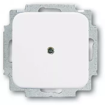 Akcesorium do włącznika elektrycznego Busch-Jaeger 2538-214 — białe akcesorium do włączników i ramek
