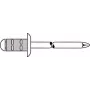 Nit zrywalny GESIPA Polygrip 4.8×25 Al/St, zakres mocowania 11,0–19,5 mm — opakowanie 250 szt.