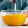 Philips 1000 series HR2522/00 blender Immersion blender 500 W