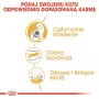 Sucha karma dla kota Royal Canin Bengal Adult 2 kg — drób, 40% białka, 18% tłuszczu, pielęgnacja układu pokarmowego i skóry