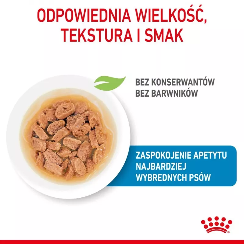 ROYAL CANIN SHN Mini Puppy w sosie - mokra karma dla szczeniąt - 12X85g