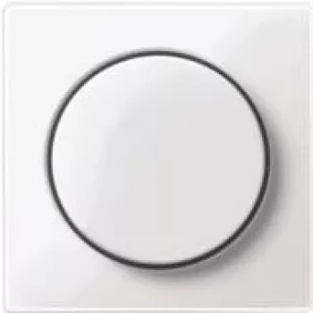 Merten MEG5250-0325. Produktfarbe: Weiß (MEG5250-0325)