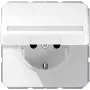 Puszka podtynkowa JUNG CD 1520 BFNAKL WW Schuko Typ F 16A 250V Biała