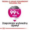 Sucha karma dla psa Royal Canin Mini Exigent 1 kg — senior małych ras, 30% białka, 22% tłuszczu