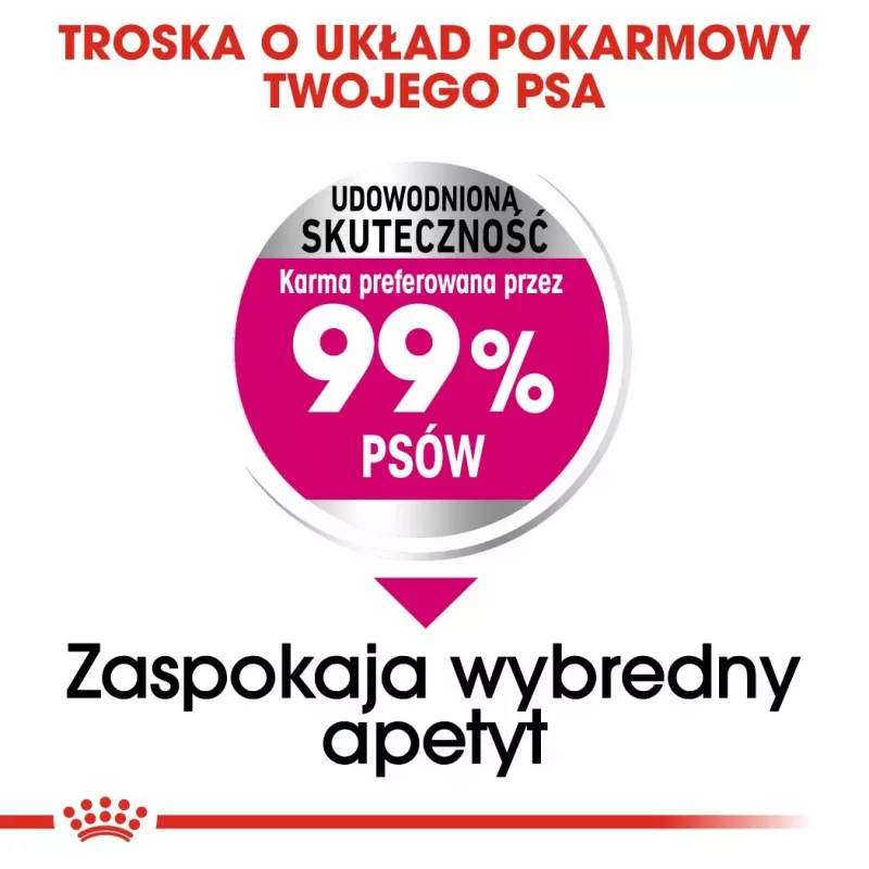 Sucha karma dla psa Royal Canin Mini Exigent 1 kg — senior małych ras, 30% białka, 22% tłuszczu