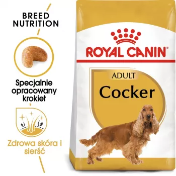 Royal Canin Cocker Adult sucha karma dla psów, 12 kg