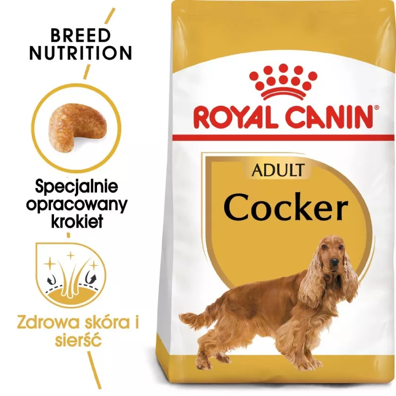 Royal Canin Cocker Adult sucha karma dla psów, 12 kg