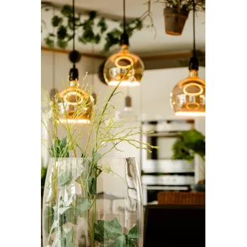 Żarówka LED Segula 55058 Ciepła biel 1900 K 6 W E27