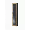 Gablota Cama Meble VIGO 180 wisząca witryna szklana 1800×400×300 mm czarny/dąb wotan