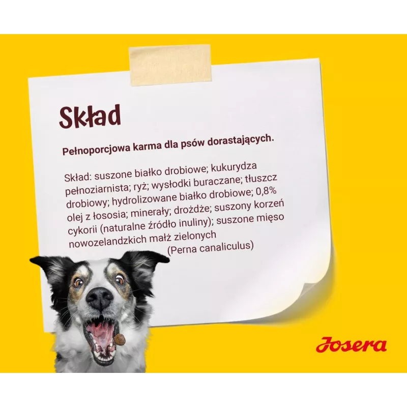 JOSERA Kids - sucha karma dla psa - 12,5kg