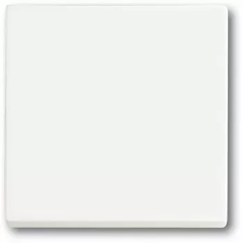 Włącznik światła Busch-Jaeger 1751-0-3027 — obudowa z tworzywa sztucznego, biały, sterowanie przyciskiem, 63×63 mm