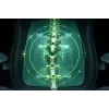 Razer Ergonomic fotel gamingowy with Breathable Comfort | Iskur V2 NewGen | Czarny/Green