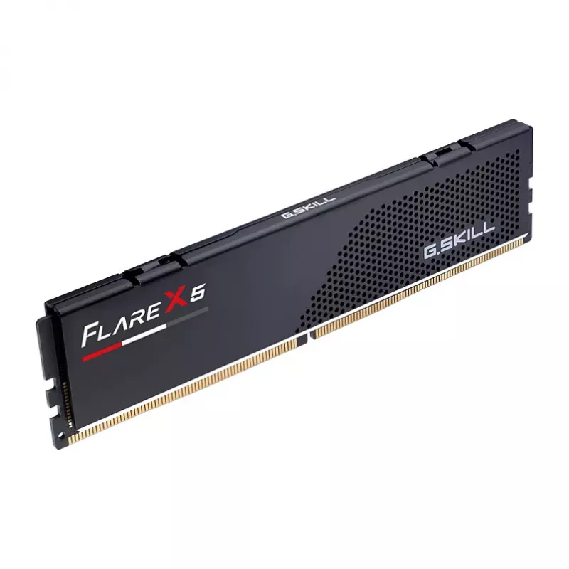G.Skill Flare X5 F5-5200J4040A24GX1-FX5, 24 GB, 1 x 24 GB, DDR5, 5200 MHz, 288-pin DIMM