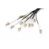 Kabel rozgałęźny Digitus DK-2433CU030BK-BBB 30m OM4 12 włókien LC/UPC