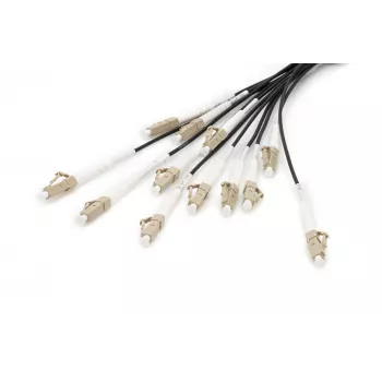 Kabel rozgałęźny Digitus DK-2433CU030BK-BBB 30m OM4 12 włókien LC/UPC