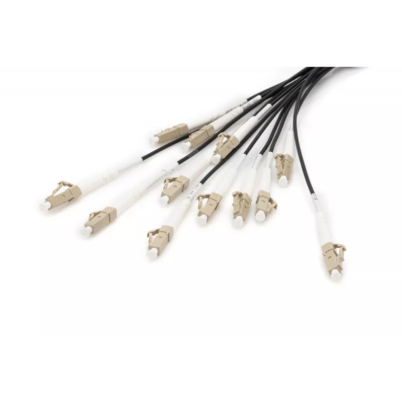 Kabel rozgałęźny Digitus DK-2433CU030BK-BBB 30m OM4 12 włókien LC/UPC