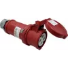 As Schwabe 60575