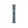 Opaska Apple MFTH4ZM/A akcesoria do smartwatchy niebieski Titanium